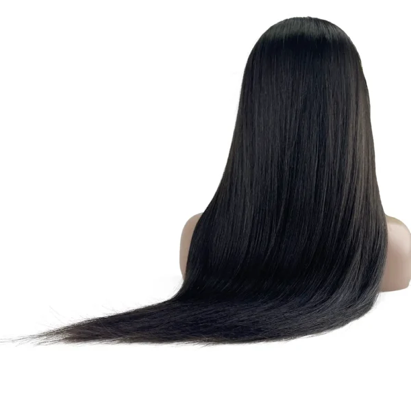 13x4 HD Lace Frontal Wigs Straight Hair