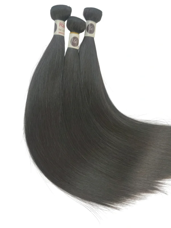 3 bundles raw human hair straight