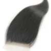 5x5 hd lace closure straight raw hair