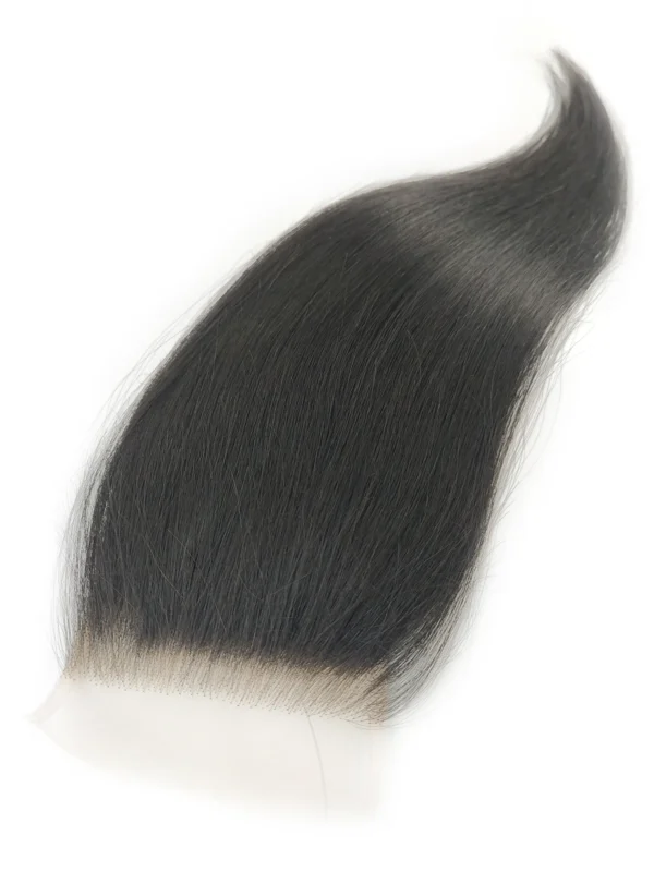 5x5 hd lace closure straight raw hair